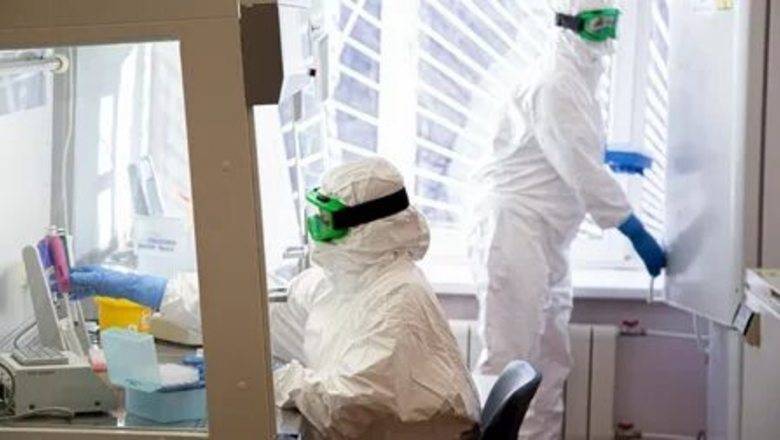 В России за сутки выявили 601 новый случай заражения коронавирусом - newizv.ru - Россия - Москва - Краснодарский край - Московская обл.