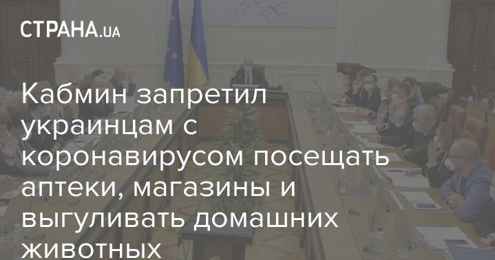 Кабмин запретил украинцам с коронавирусом посещать аптеки, магазины и выгуливать домашних животных - strana.ua - Украина