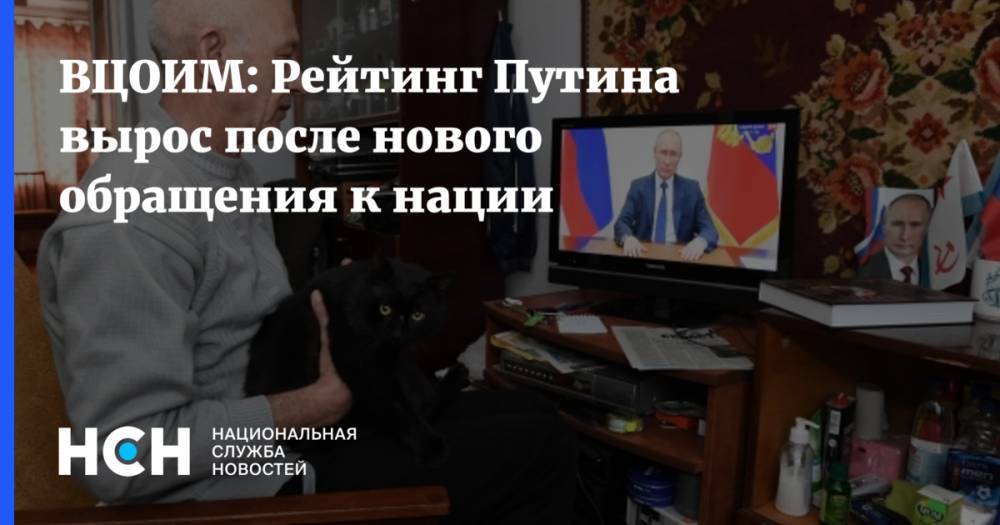 Владимир Путин - ВЦОИМ: Рейтинг Путина вырос после нового обращения к нации - nsn.fm - Россия