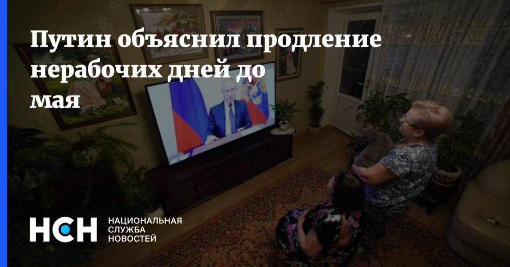 Владимир Путин - Путин объяснил продление нерабочих дней до мая - nsn.fm - Россия