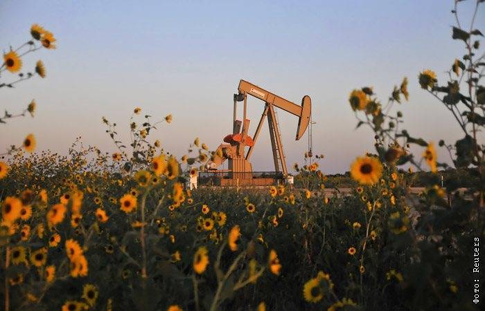 Нефтекомпании США разделились по вопросу об участии в сокращении добычи - interfax.ru - Москва - Сша