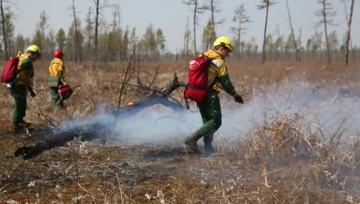 Природные пожары: в России горит 60 тысяч гектаров леса - vesti.ru - Россия - Забайкальский край