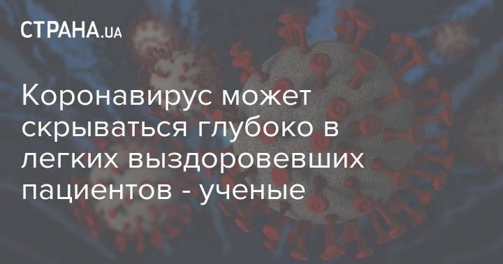 Коронавирус может скрываться глубоко в легких выздоровевших пациентов - ученые - strana.ua - Китай