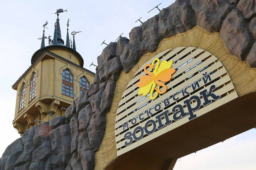 Московский зоопарк перенес дату открытия и продлил акцию по продаже льготных билетов - vm.ru - Москва