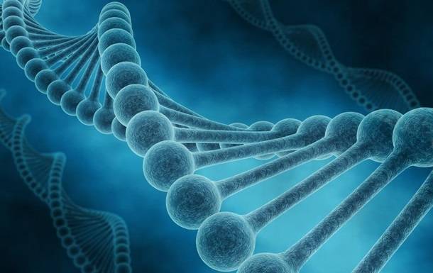 В ДНК человека нашли фрагмент, влияющий на тяжесть COVID-19 - korrespondent.net - Англия