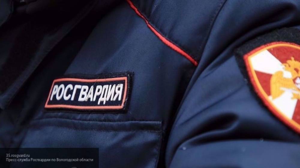 Росгвардия увеличит количество патрулей в ЦФО в период майских праздников - inforeactor.ru - округ Цфо