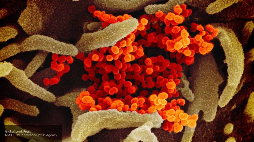 Ученый объяснил, почему трудно остановить распространение коронавируса в мире - nation-news.ru - Сша