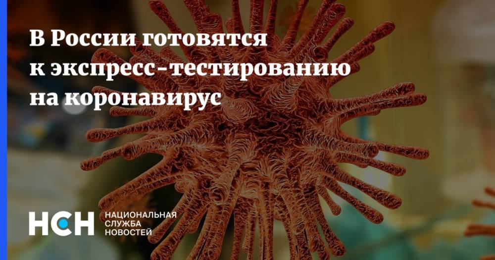 В России готовятся к экспресс-тестированию на коронавирус - nsn.fm - Россия