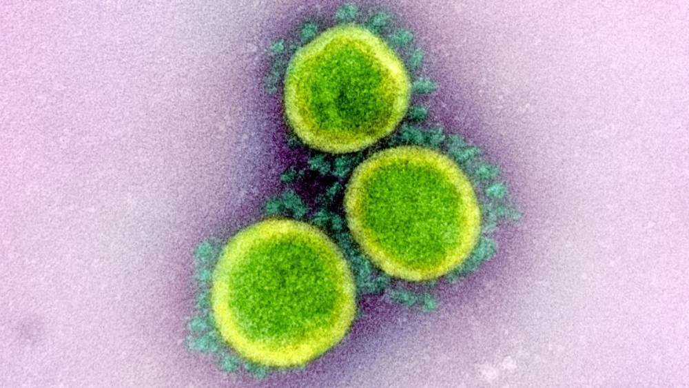 Эксперт считает, что коронавирус ослабнет летом из-за высоких температур - vestirossii.com - Россия - Москва