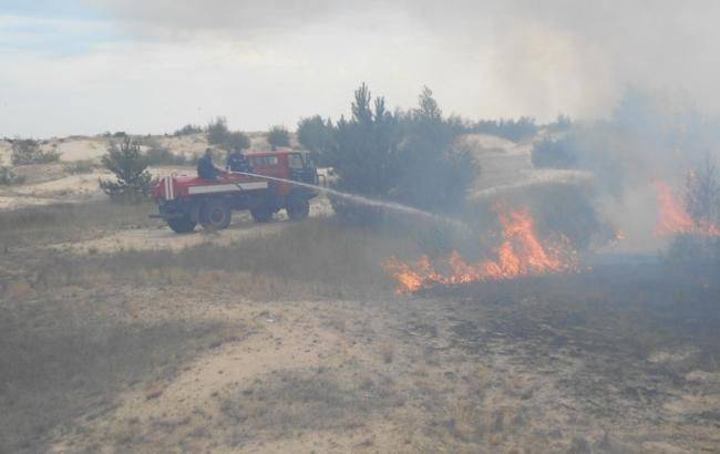 В Киевской области за сутки зафиксировали 124 пожара в экосистемах - rbc.ua - Украина - Киев - Киевская обл.