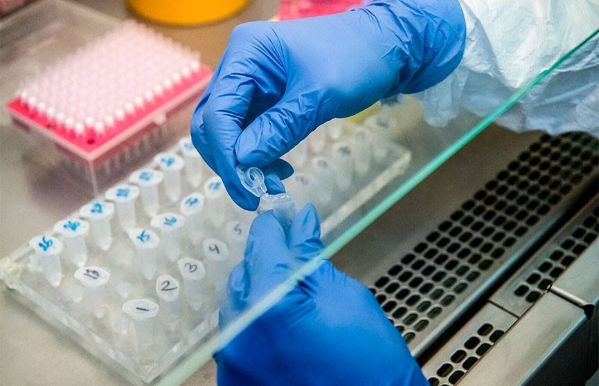 Коронавирус в Беларуси: на лечении находятся 394 человека, выздоровел 41 - ont.by - Белоруссия