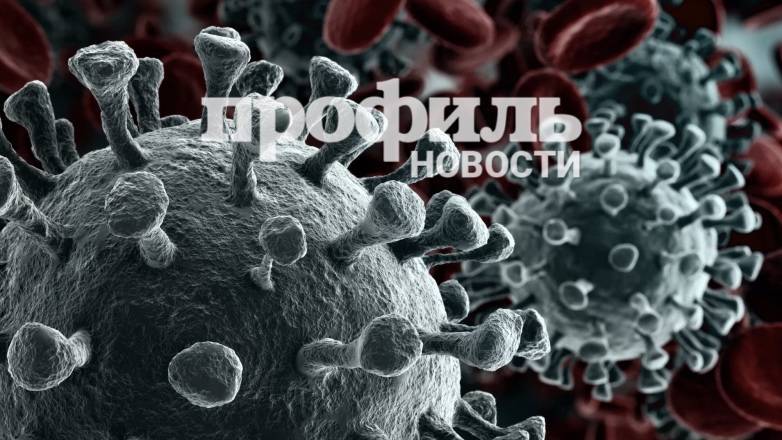 В Москве скончались два пациента с коронавирусом - profile.ru - Москва