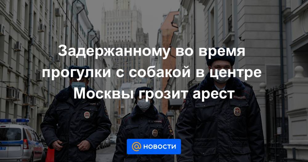 Задержанному во время прогулки с собакой в центре Москвы грозит арест - news.mail.ru - Москва