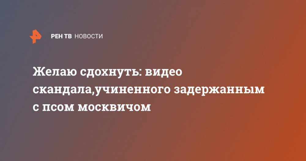 Иисус Воробьев - Желаю сдохнуть: видео скандала,учиненного задержанным с псом москвичом - ren.tv - Москва