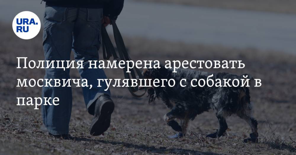 Полиция намерена арестовать москвича, гулявшего с собакой в парке - ura.news - Москва
