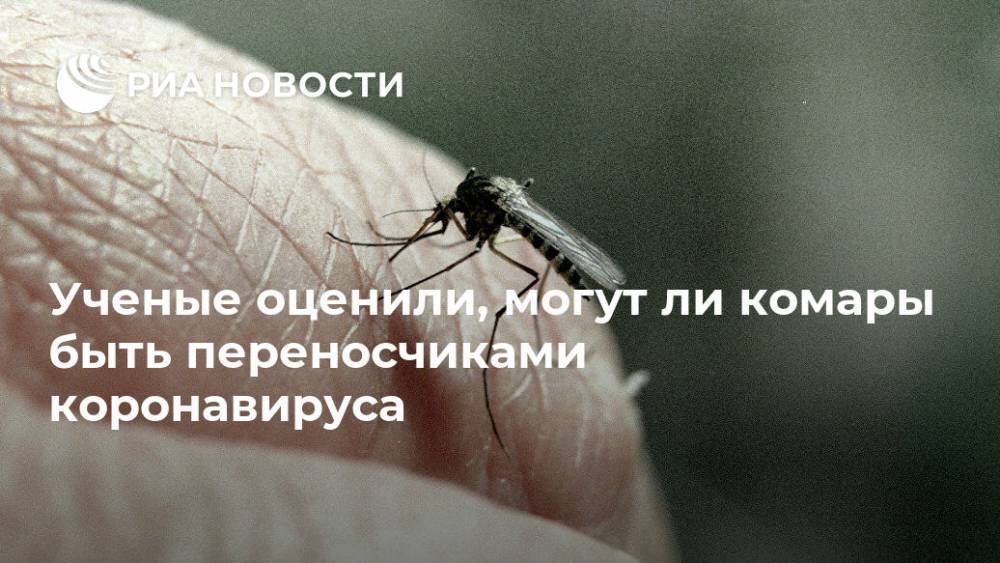 Константин Китаев - Юлия Ловцова - Ученые оценили, могут ли комары быть переносчиками коронавируса - ria.ru - Россия - Москва - Китай