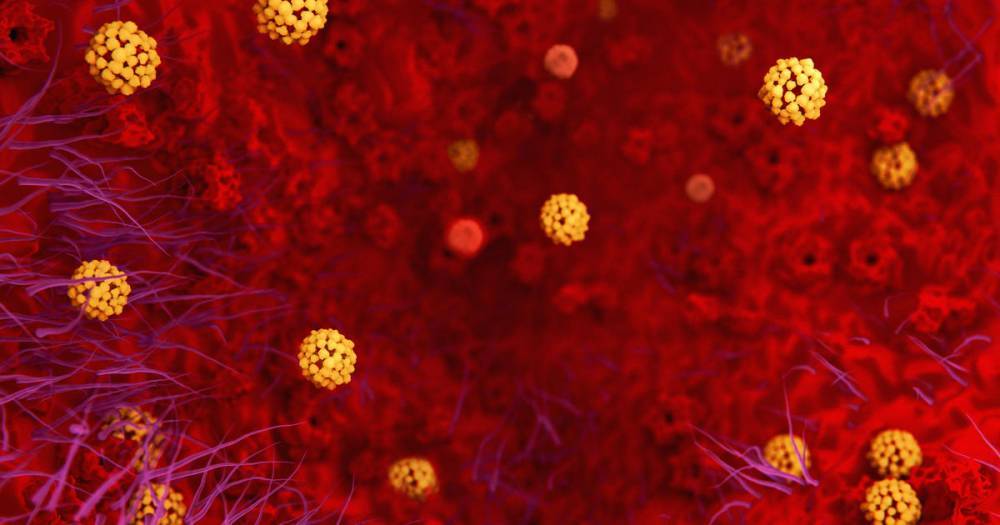 Дебора Беркс - В США начали проводить тест на антитела к коронавирусу - ren.tv - Сша