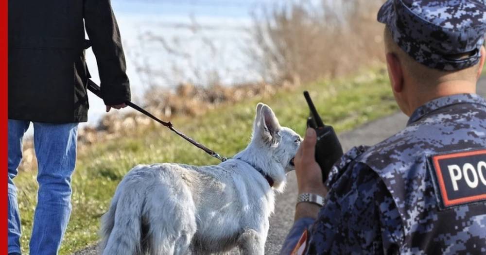 Полиция задержала гулявшего с собакой на Патриарших прудах москвича - profile.ru - Москва