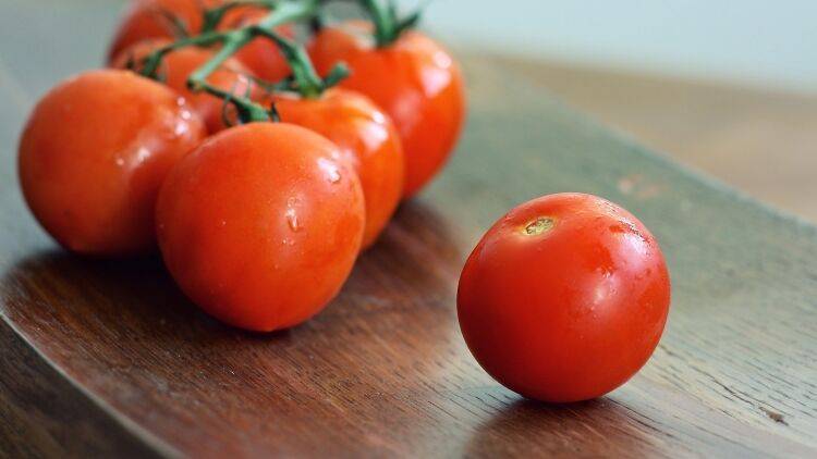 Минсельхоз попросили ограничить ввоз томатов в интересах российских производителей - inforeactor.ru - Россия