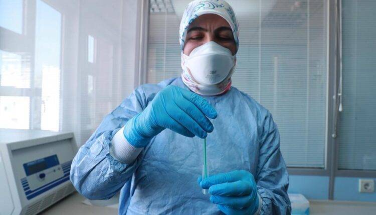 Атеш Кара - В Турции сообщили об успешном испытании вакцины от коронавируса на животных - newtvnews.ru - Турция - Анкара