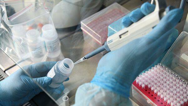 Атеш Кара - В Турции сообщили об успешном испытании вакцины от коронавируса на животных - newtvnews.ru - Турция