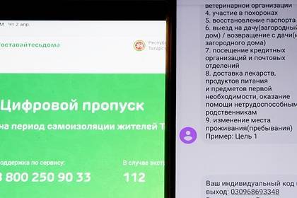 Российский регион ввел электронные пропуска для передвижения - lenta.ru - Приморье край