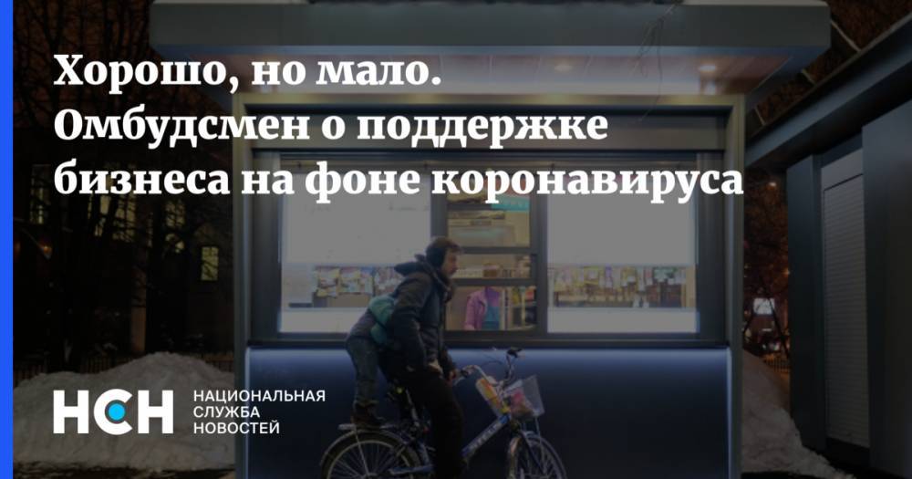 Хорошо, но мало. Омбудсмен о поддержке бизнеса на фоне коронавируса - nsn.fm - Россия - Москва