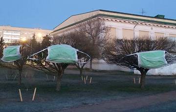 Фотофакт: На деревья в центре Минска надели огромные медицинские маски - charter97.org - Минск
