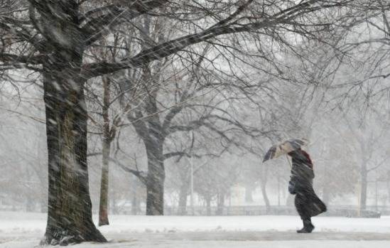 Ветер, дождь, снег: в Курганской области объявлено штормовое предупреждение - znak.com - Курганская обл.