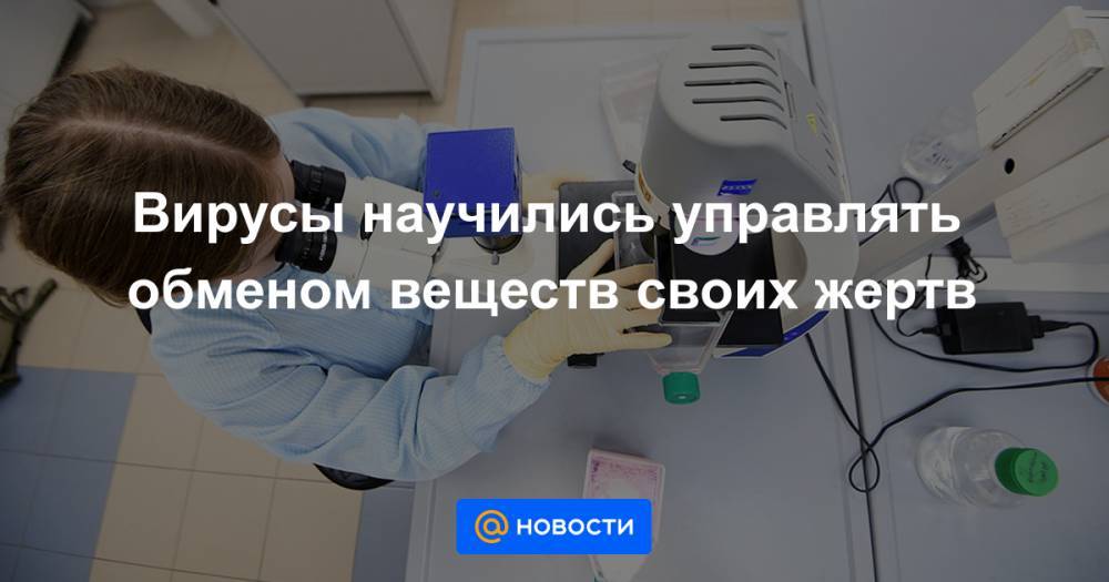 Вирусы научились управлять обменом веществ своих жертв - news.mail.ru - Сша