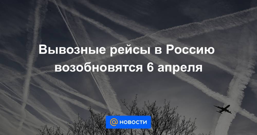 Вывозные рейсы в Россию возобновятся 6 апреля - news.mail.ru - Россия