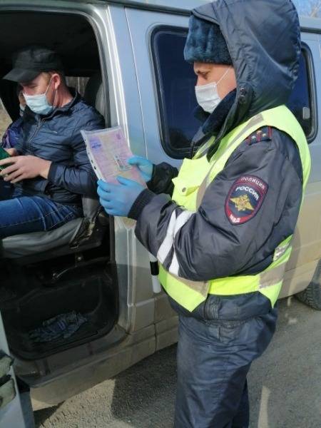 В Челябинской области выявлено 277 нарушителей карантинного режима - znak.com - Челябинская обл.