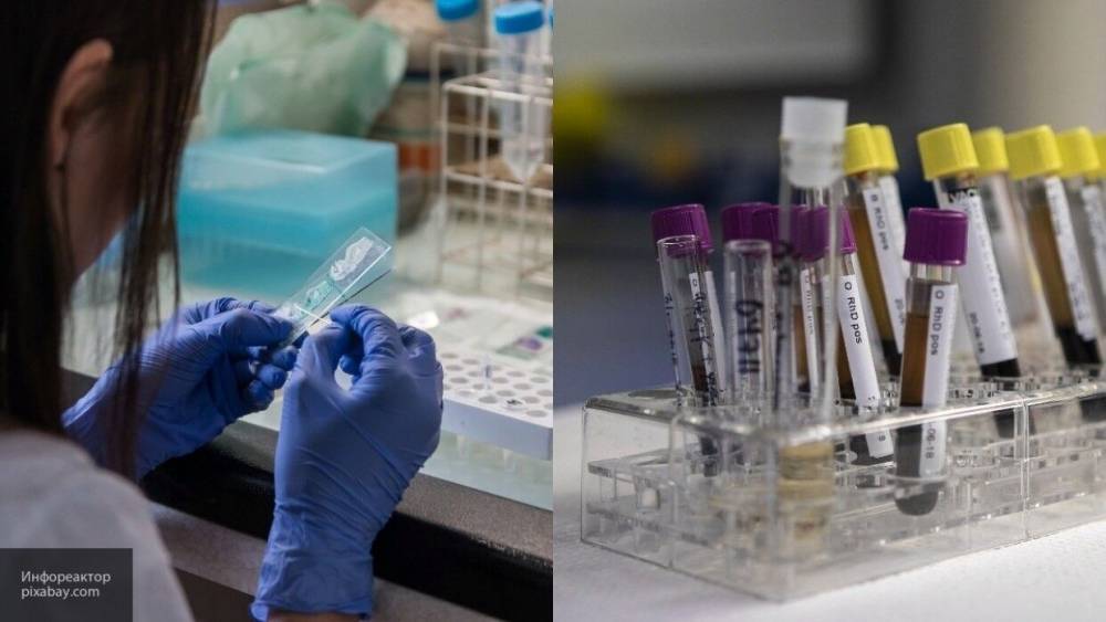 Биолог исключил необходимость массового тестирования на коронавирус - inforeactor.ru