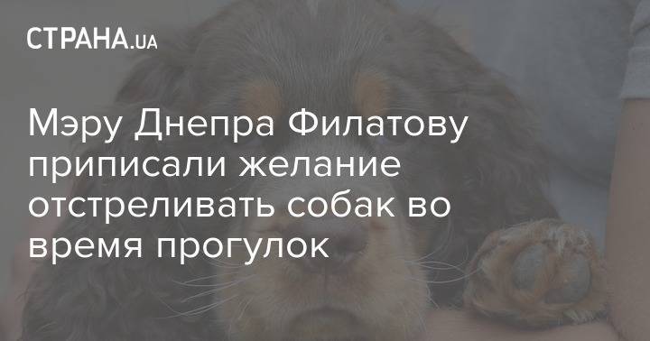 Борис Филатов - Мэру Днепра Филатову приписали желание отстреливать собак во время прогулок - strana.ua - Днепр