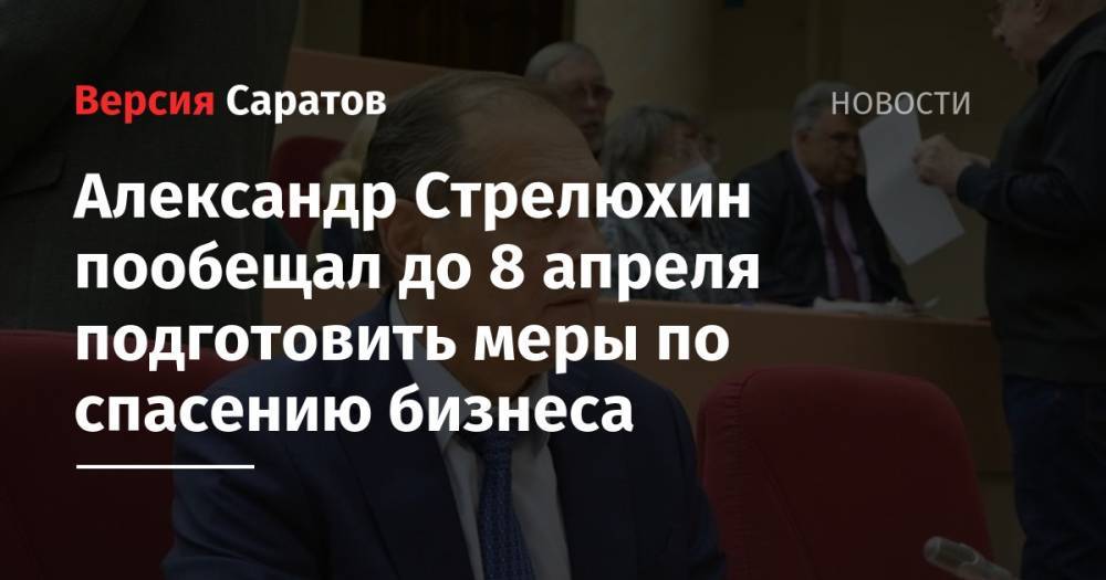 Александр Стрелюхин - Александр Стрелюхин пообещал до 8 апреля подготовить мер по спасению бизнеса в регионе - nversia.ru