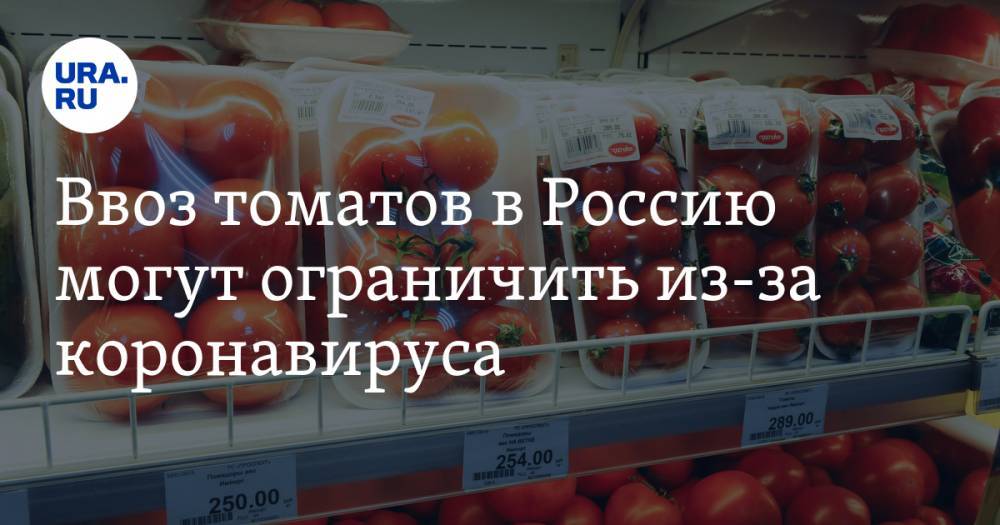 Ввоз томатов в Россию могут ограничить из-за коронавируса - ura.news - Россия
