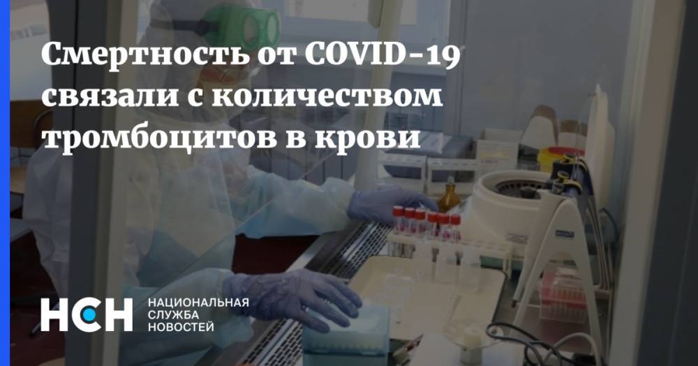 Смертность от COVID-19 связали с количеством тромбоцитов в крови - nsn.fm