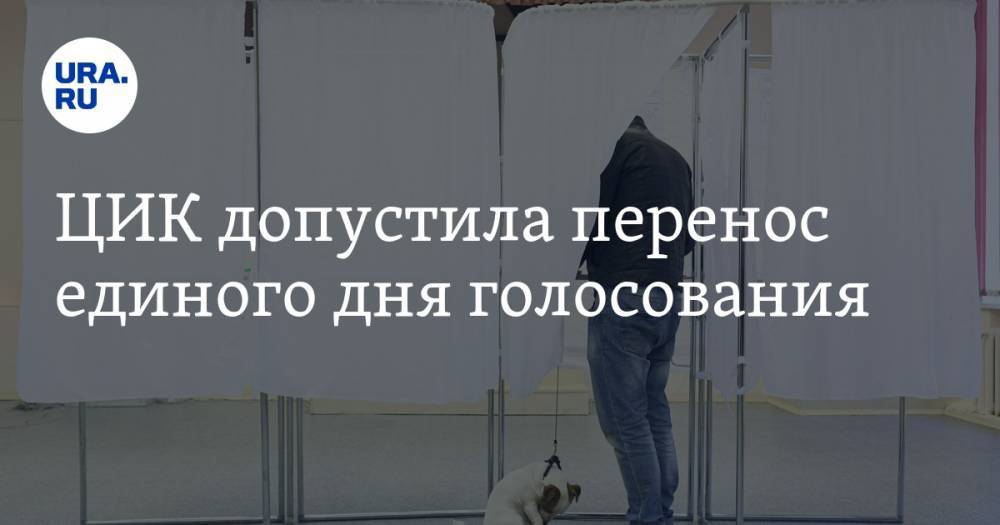 Майя Гришина - ЦИК допустила перенос единого дня голосования - ura.news