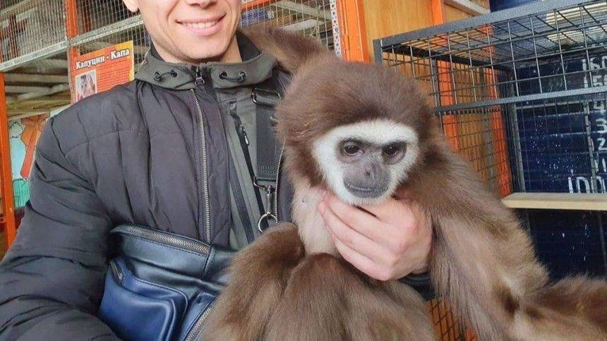 Иркутский зоопарк приютил обезьян, которые лишились дома из-за коронавируса - 5-tv.ru - Иркутск - Барнаул