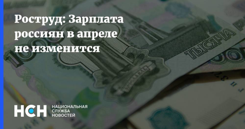 Владимир Путин - Роструд: Зарплата россиян в апреле не изменится - nsn.fm - Россия