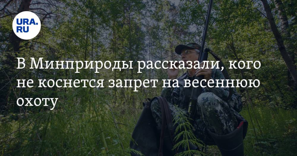 В Минприроды рассказали, кого не коснется запрет на весеннюю охоту - ura.news - Россия