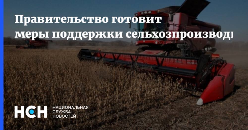 Викторий Абрамченко - Правительство готовит меры поддержки сельхозпроизводителей - nsn.fm - Россия