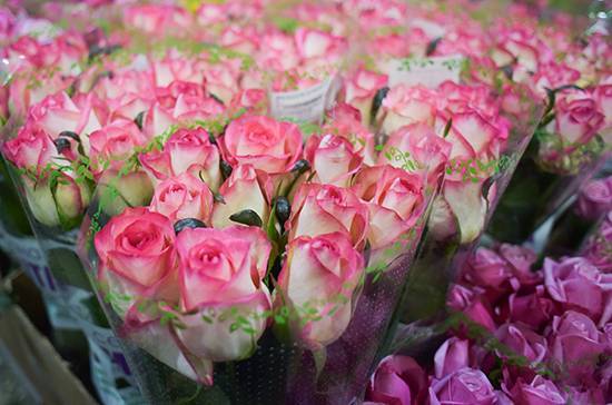 Алексей Ситников - Российские цветоводы вынуждены утилизировать около 1,2 млн роз ежедневно из-за COVID-19 - pnp.ru - Россия