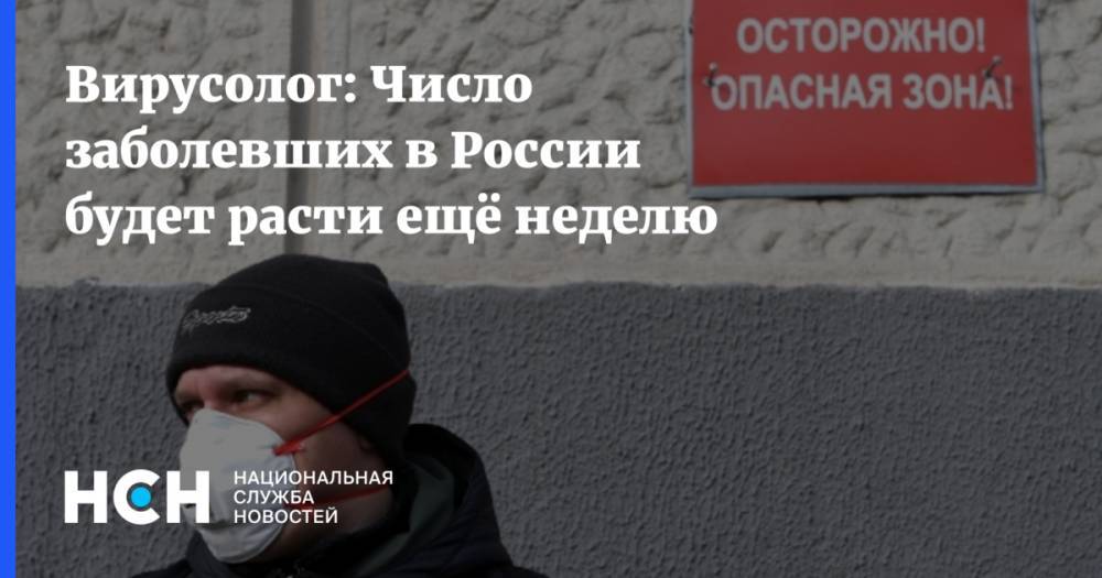Тимур Пестерев - Вирусолог: Число заболевших в России будет расти ещё неделю - nsn.fm - Россия