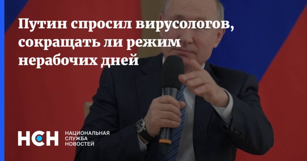 Владимир Путин - Путин спросил вирусологов, сокращать ли режим нерабочих дней - nsn.fm - Россия