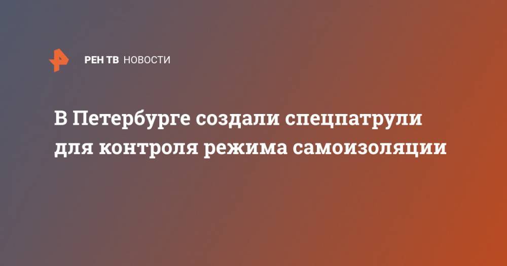 В Петербурге создали спецпатрули для контроля режима самоизоляции - ren.tv - Санкт-Петербург
