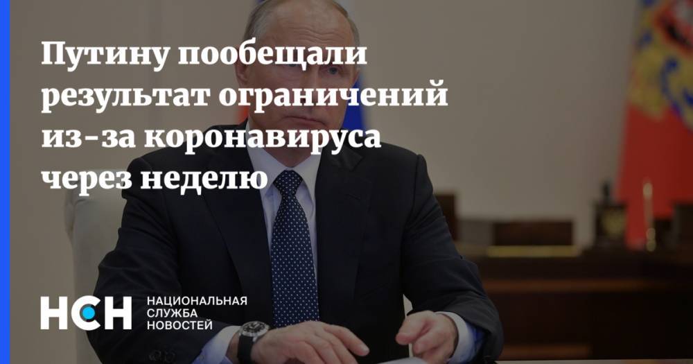 Владимир Путин - Владимир Кутырев - Путину пообещали результат ограничений из-за коронавируса через неделю - nsn.fm - Россия