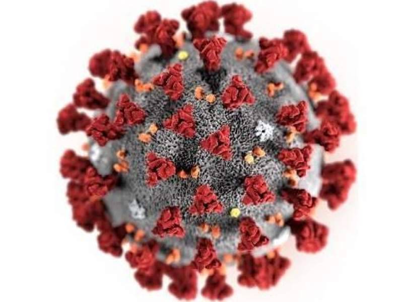 СК возбудил дело из-за фейка о коронавирусе, созданном в России - dayonline.ru - Россия - Китай