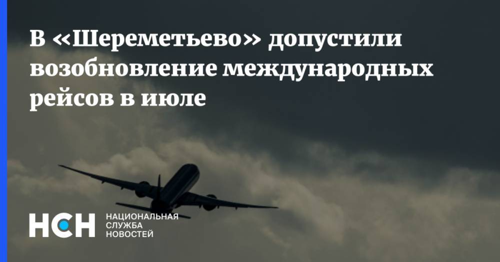Александр Пономаренко - В «Шереметьево» допустили возобновление международных рейсов в июле - nsn.fm