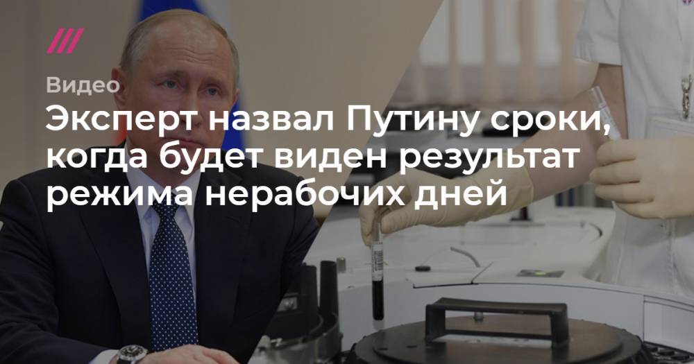 Эксперт назвал Путину сроки, когда будет виден результат режима нерабочих дней - tvrain.ru - Россия
